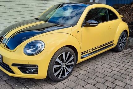 VW Beetle