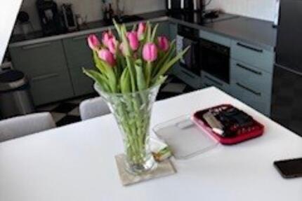 Wohnung Leipzig Mitte - 5 Zimmer, 146 m&sup2;, 2.480&euro; | Angebot:25325150