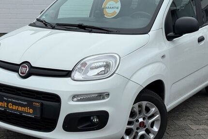 Fiat Panda 81.000 km 8.900 &euro; Kelkheim 65779