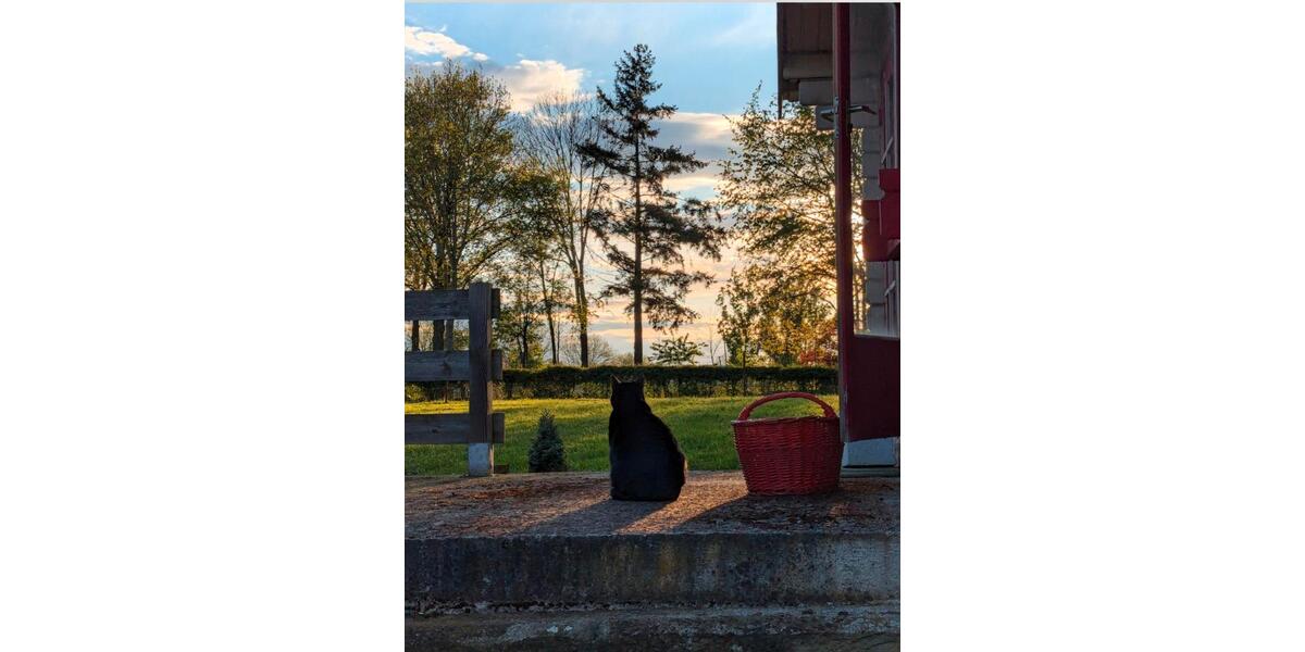 Etagenwohnung Bad Sassendorf - 3 Zimmer, 80 m&sup2;, 560&euro; | Angebot:25981111