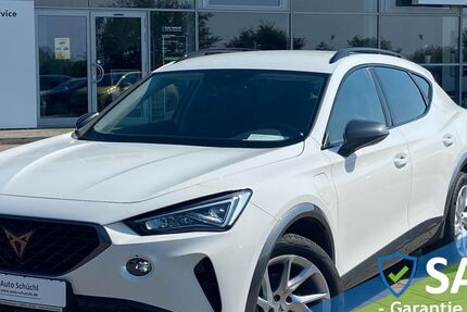 Cupra Formentor 29.998 km 21.848 &euro; Schrobenhausen-Edelshsn. 86529