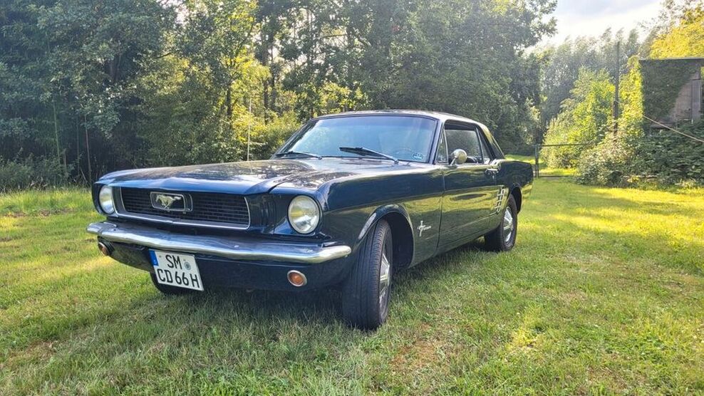 Mustang