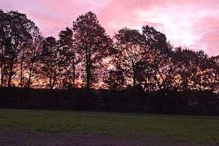 Grundstück Goldkronach - 145.000&euro; | Angebot:25892429