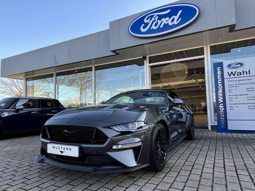 Mustang
