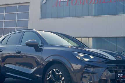 Cupra Terramar 16.950 km 34.988 &euro; Wülfershausen 97618