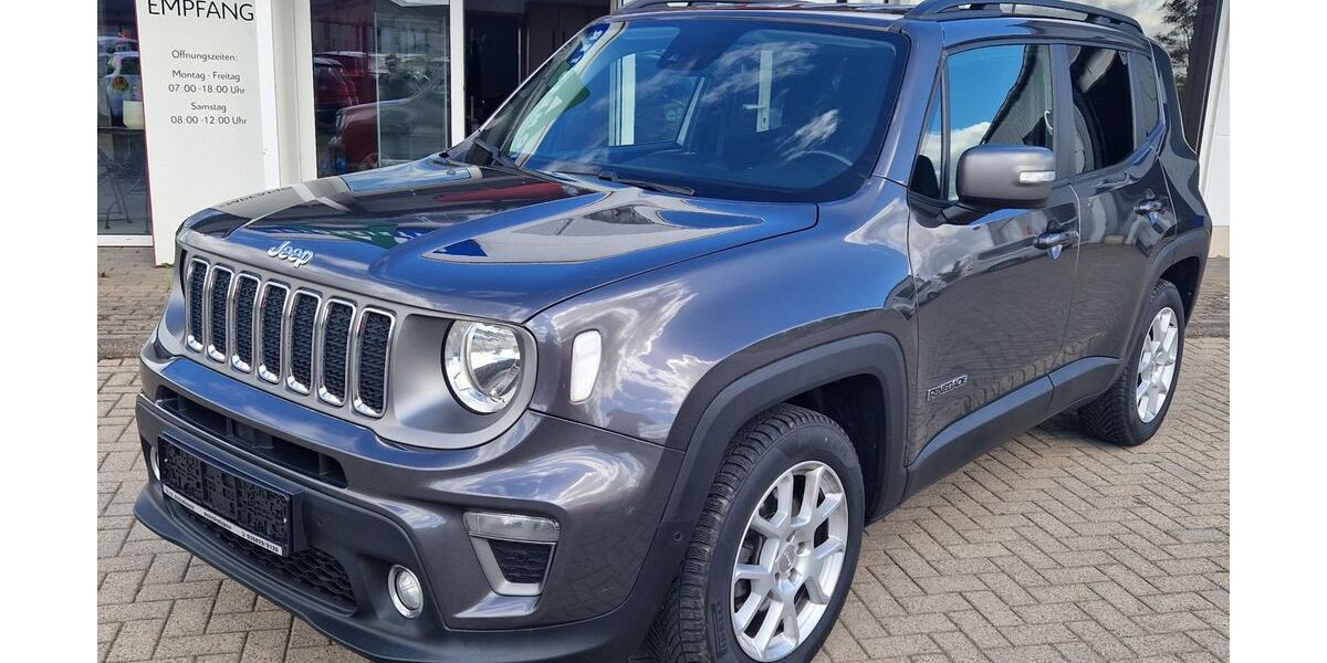 Jeep Renegade 101.603 km 11.690 &euro; Helbedündorf 99713