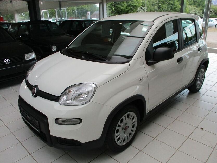 Panda