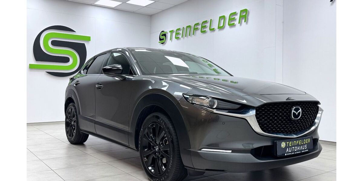 Mazda CX-30 70.801 km 20.990 &euro; Steinfeld 49439