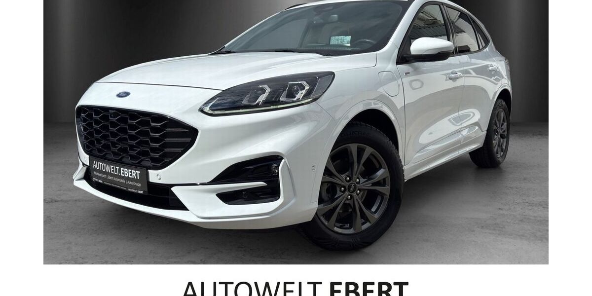 Ford Kuga 27.990 km 23.690 &euro; Bensheim 64625