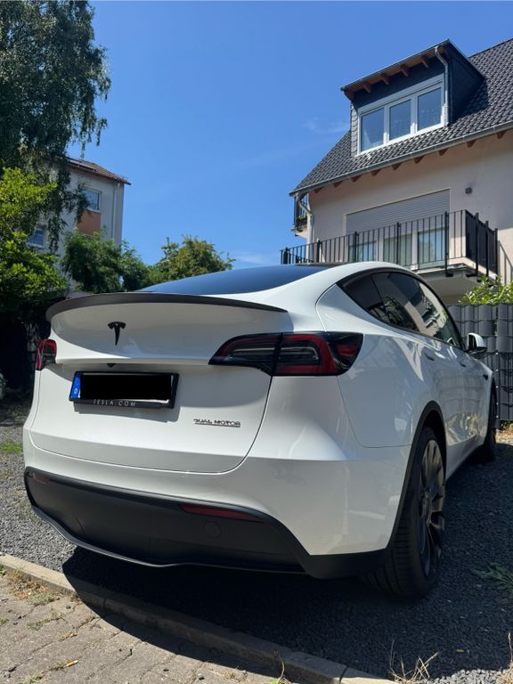 Model Y