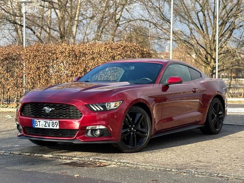 Mustang