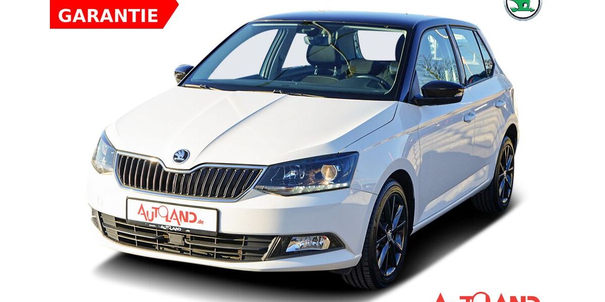 Skoda Fabia 59.233 km 13.950 &euro; Cottbus OT Kolkwitz 03099