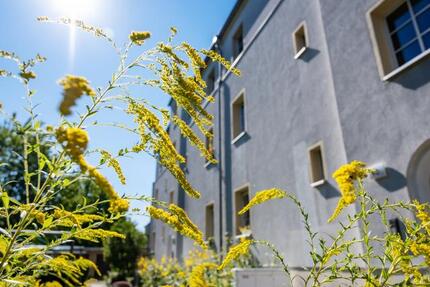 Wir sanieren für Sie - ab Juni 2025