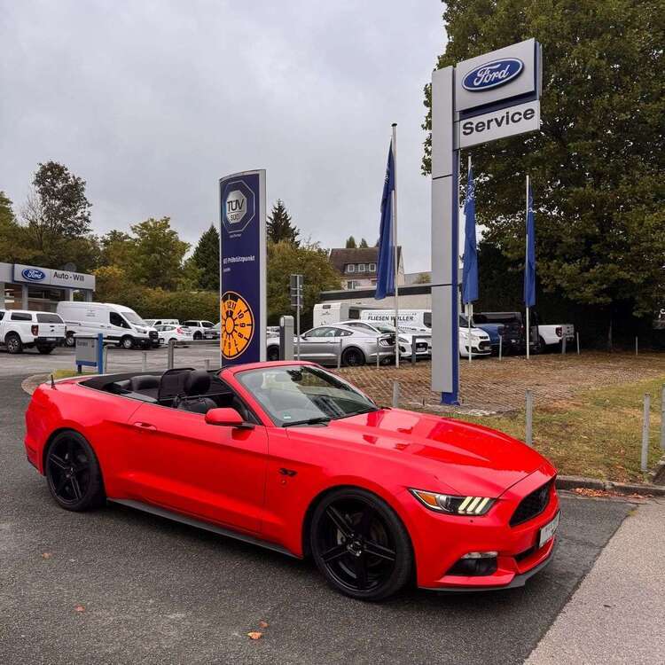 Mustang