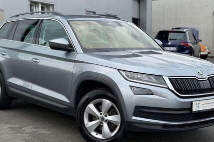 Skoda Kodiaq 299.680 km 12.500 &euro; Heide 25746