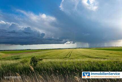 Grundstück Neuruppin - 116.130&euro; | Angebot:25355348