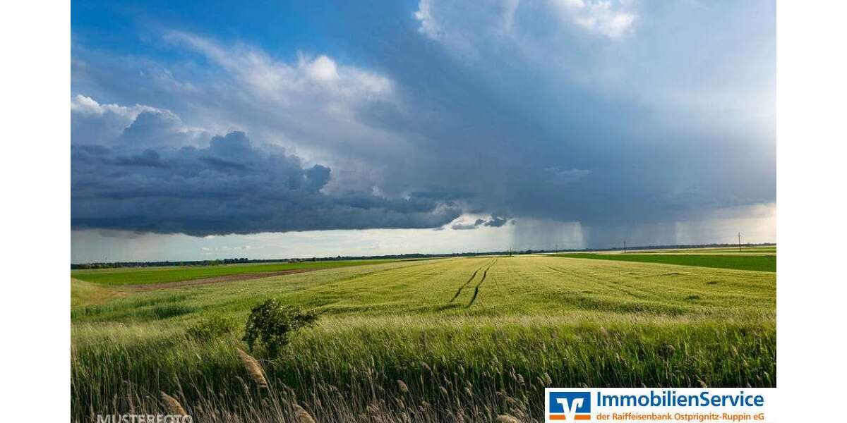 Grundstück Neuruppin - 116.130&euro; | Angebot:25355348