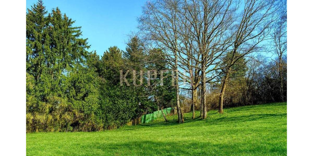 Grundstück Forchheim - 650.000&euro; | Angebot:24111246