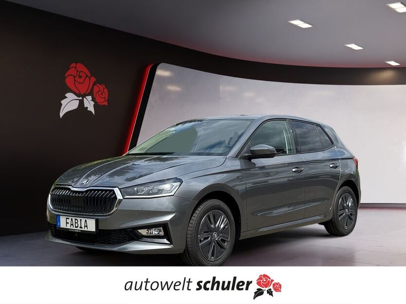 Skoda Fabia 4.018 km 20.989 € Villingen-Schwenningen 78052