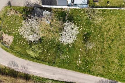 Grundstück Bad Säckingen Wallbach - 375.000&euro; | Angebot:25695639