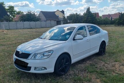 Skoda Octavia 140.000 km 5.000 &euro; Brück Linthe 14822