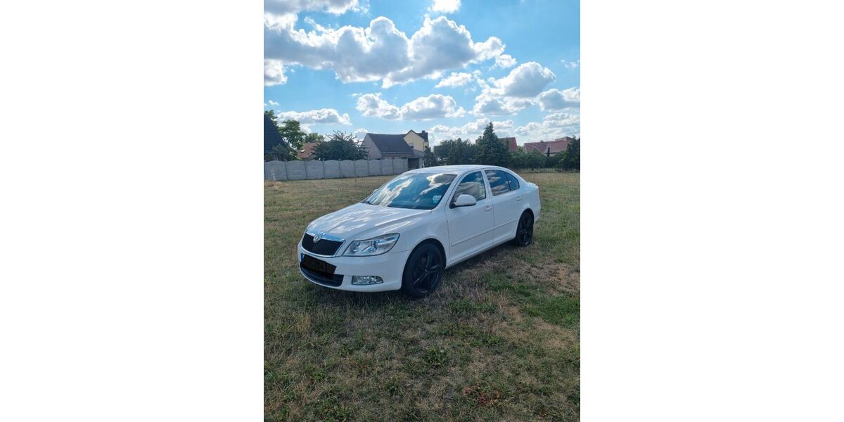 Skoda Octavia 140.000 km 5.000 &euro; Brück Linthe 14822