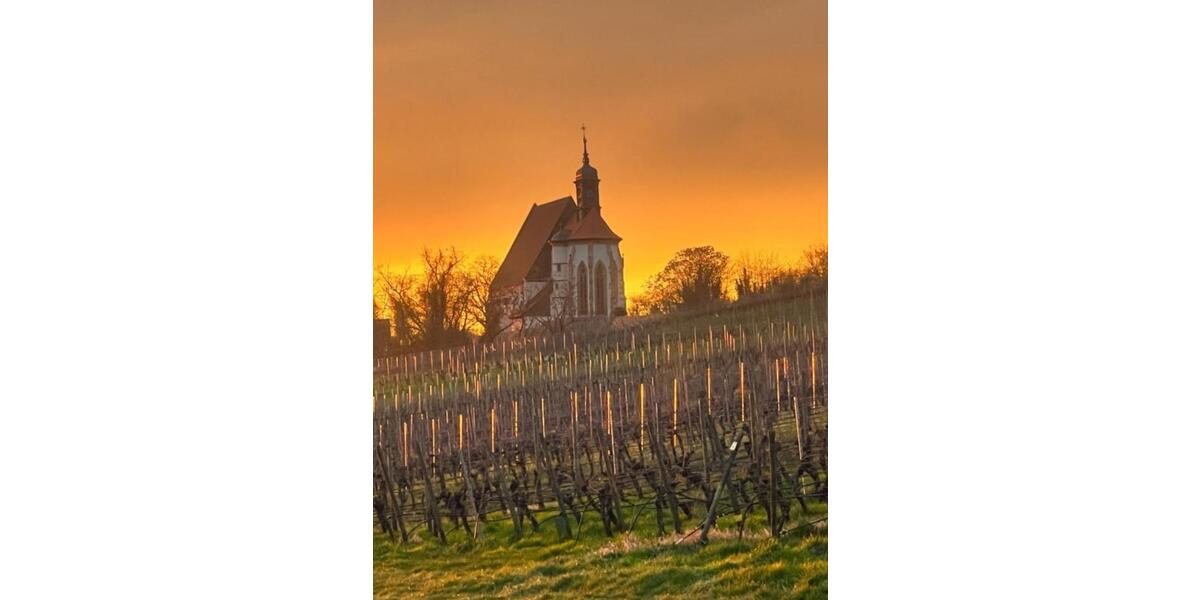 Erdgeschoßwohnung Volkach - 4 Zimmer, 165 m&sup2;, 1.295&euro; | Angebot:25350063