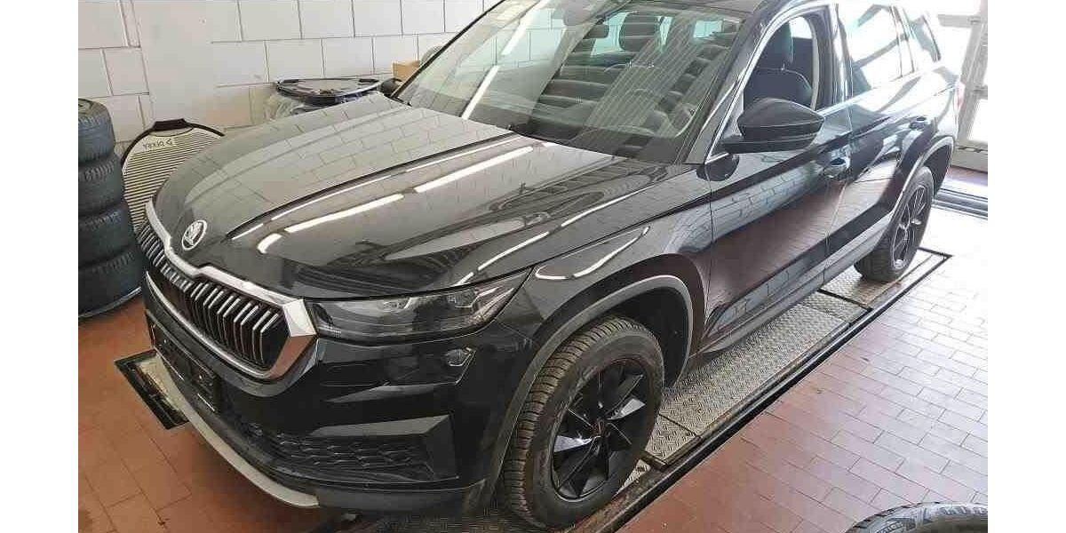 Skoda Kodiaq 108.941 km 27.990 &euro; Steinbach-Hallenberg OT Herges-Hallenberg 98587
