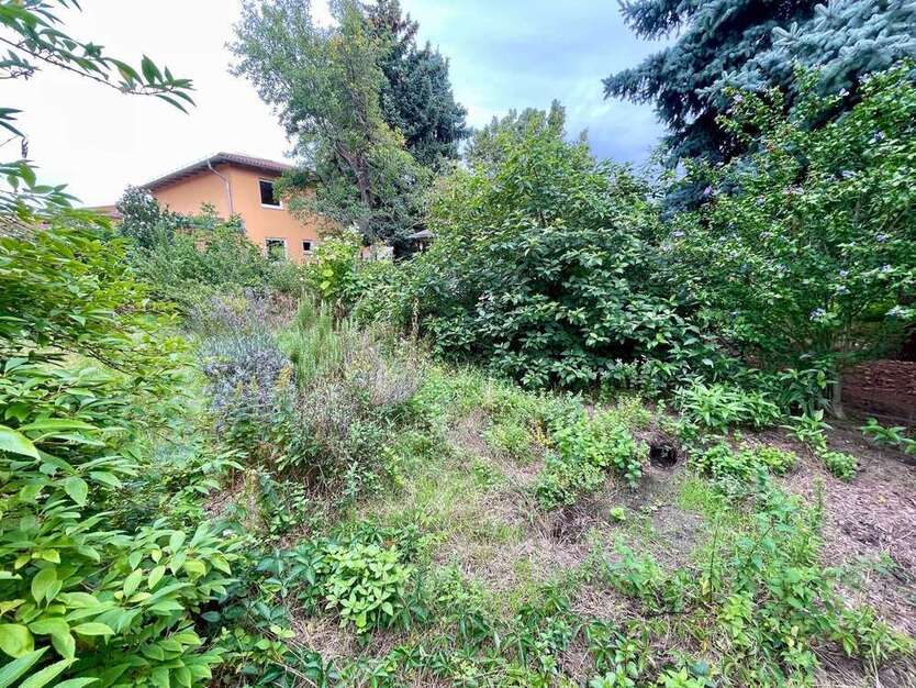 Grundstück zu verkaufen in Dresden 375.000 € 650 m²