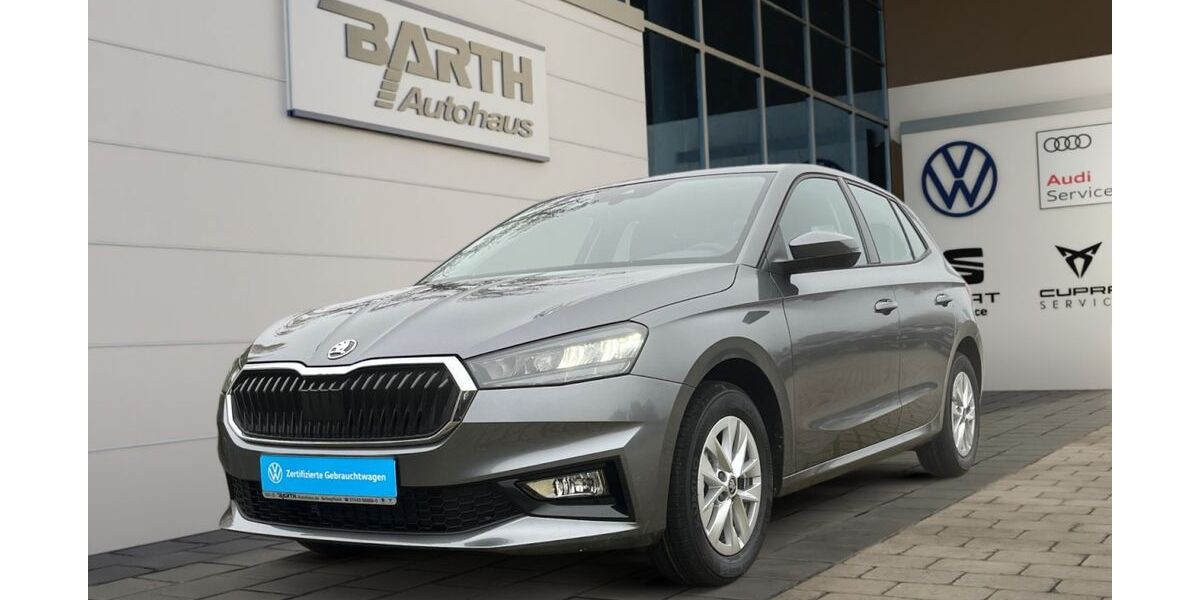 Skoda Fabia 1.050 km 19.889 &euro; Schopfloch 72296