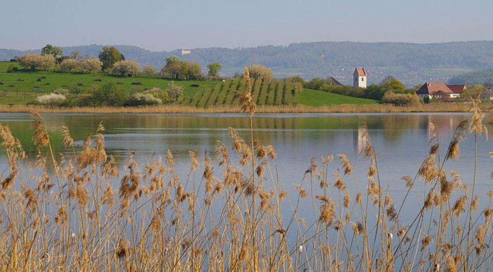 Terrassenwohnung Salem - 5 Zimmer, 160 m&sup2;, 1.950&euro; | Angebot:26133399