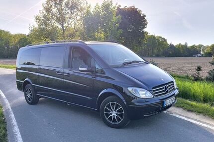 Mercedes Viano