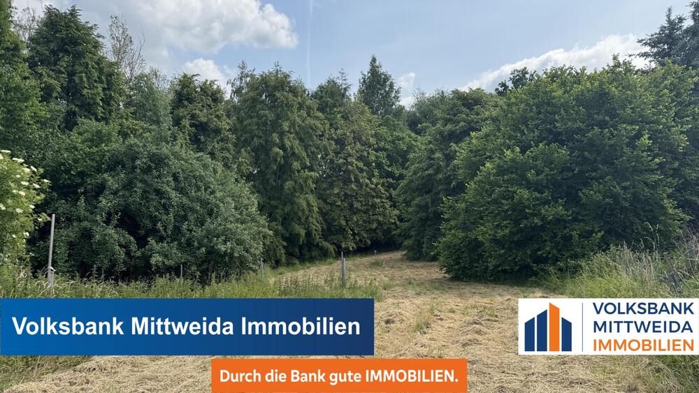 5260m² Großes Grundstück - bebaut mit Scheune und Werkstatt - Wald und Wiese! zimmer