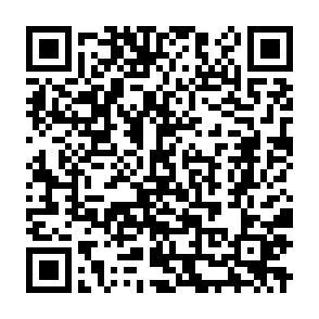 Gewerbeobjekt Genthin - 1.050&euro; | Angebot:26152621