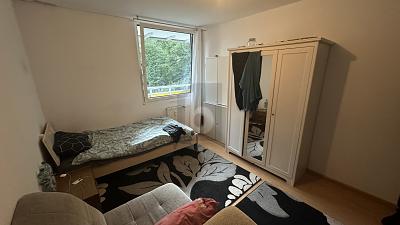 ZENTRAL IM SCHWARZWALD 3 zimmer