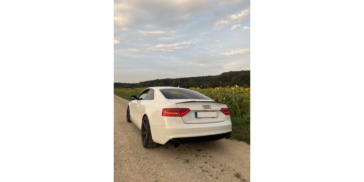Audi A5 220.000 km 14.000 &euro; Gräfenberg 91322