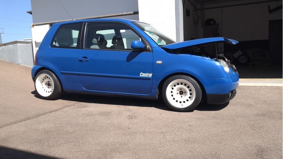 Lupo