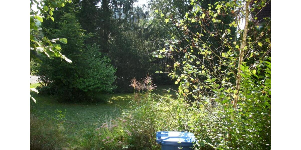 Bauernhaus, Landhaus Freisen - 7 Zimmer, 160 m&sup2;, 85.000&euro; | Angebot:26755103