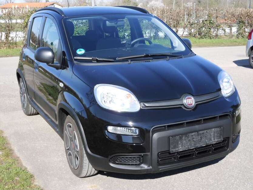 Panda