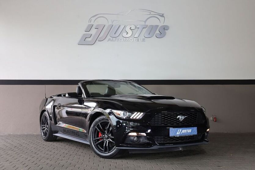 Mustang