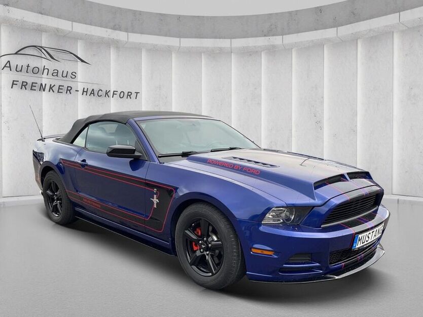 Mustang