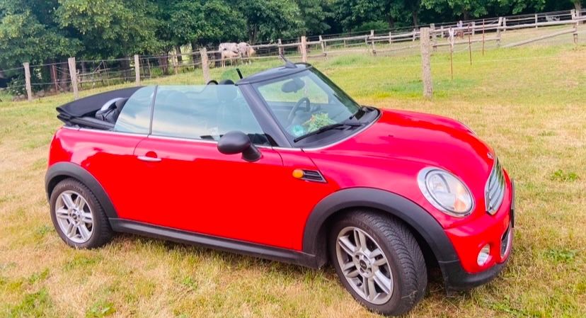 One Cabrio