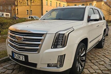 Cadillac Escalade 68.423 km 64.300 € Potsdam 14473