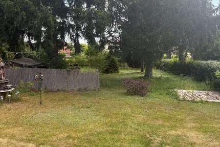 Grundstück zu verkaufen in Briesen 75.000 € 500 m² zimmer