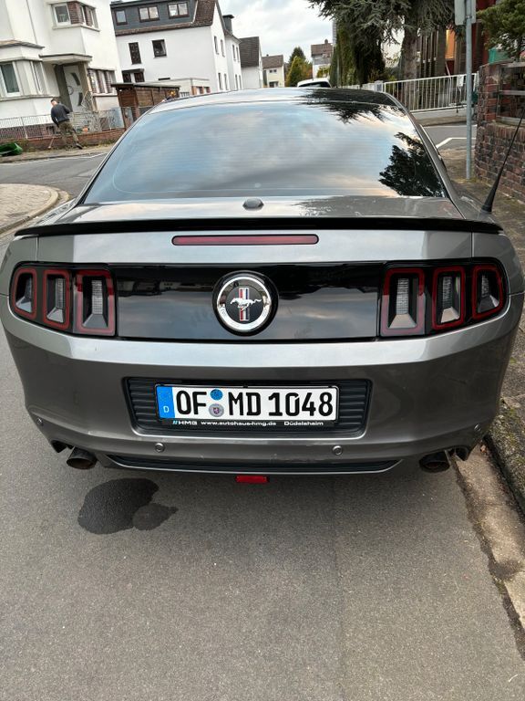 Mustang