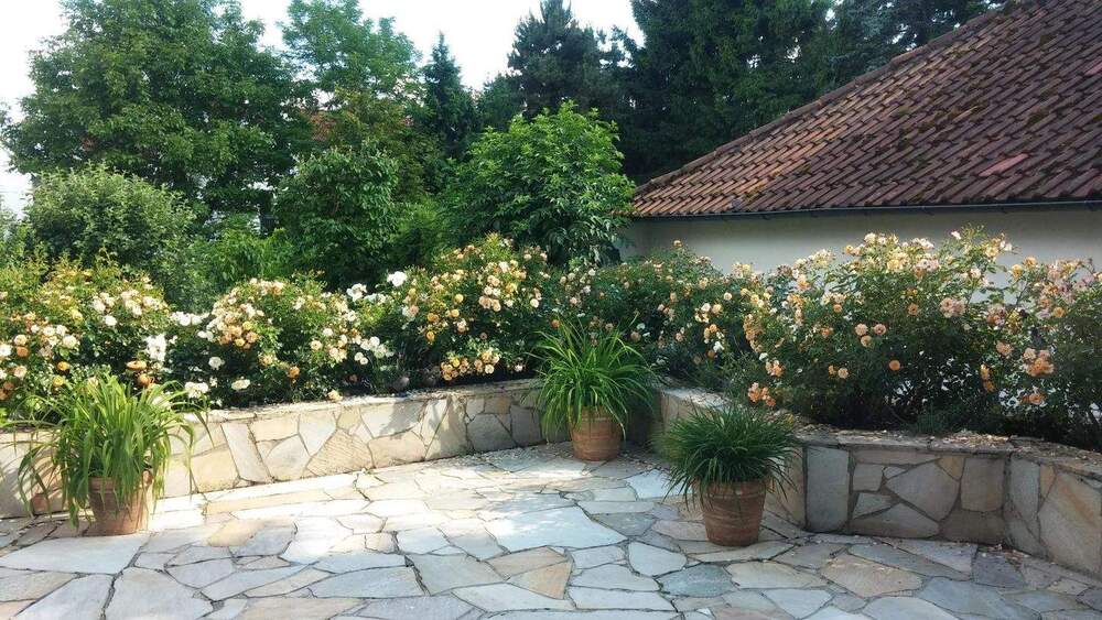 Mehrfamilienhaus, Wohnhaus Offenbach Offenbach am Main - 9 Zimmer, 307 m&sup2;, 1.370.000&euro; | Angebot:24546092