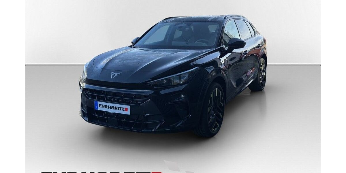Cupra Terramar 3.500 km 49.980 &euro; Ilmenau 98693