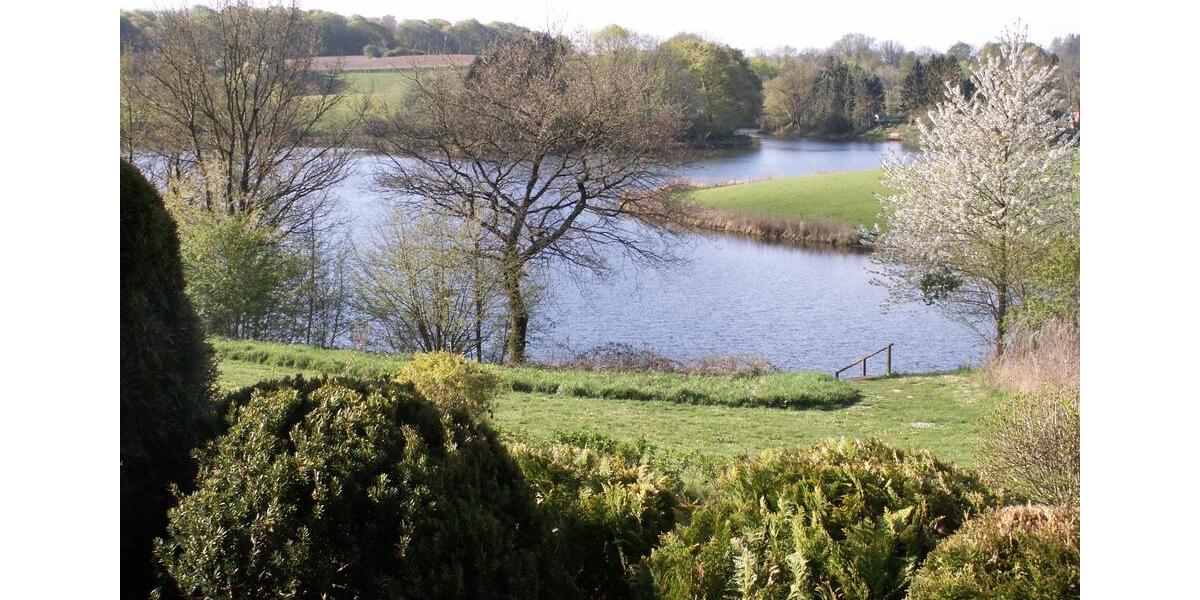 Einfamilienhaus Schönwalde am Bungsberg - 2.5 Zimmer, 78 m&sup2;, 319.000&euro; | Angebot:26020054