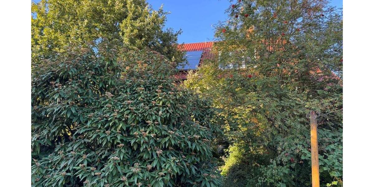 Einfamilienhaus Ostrau - 7 Zimmer, 248 m&sup2;, 380.000&euro; | Angebot:25768268