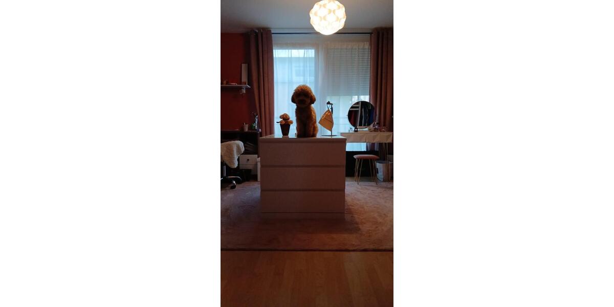 Reihenhaus Günzburg - 550.000&euro; | Angebot:25543396